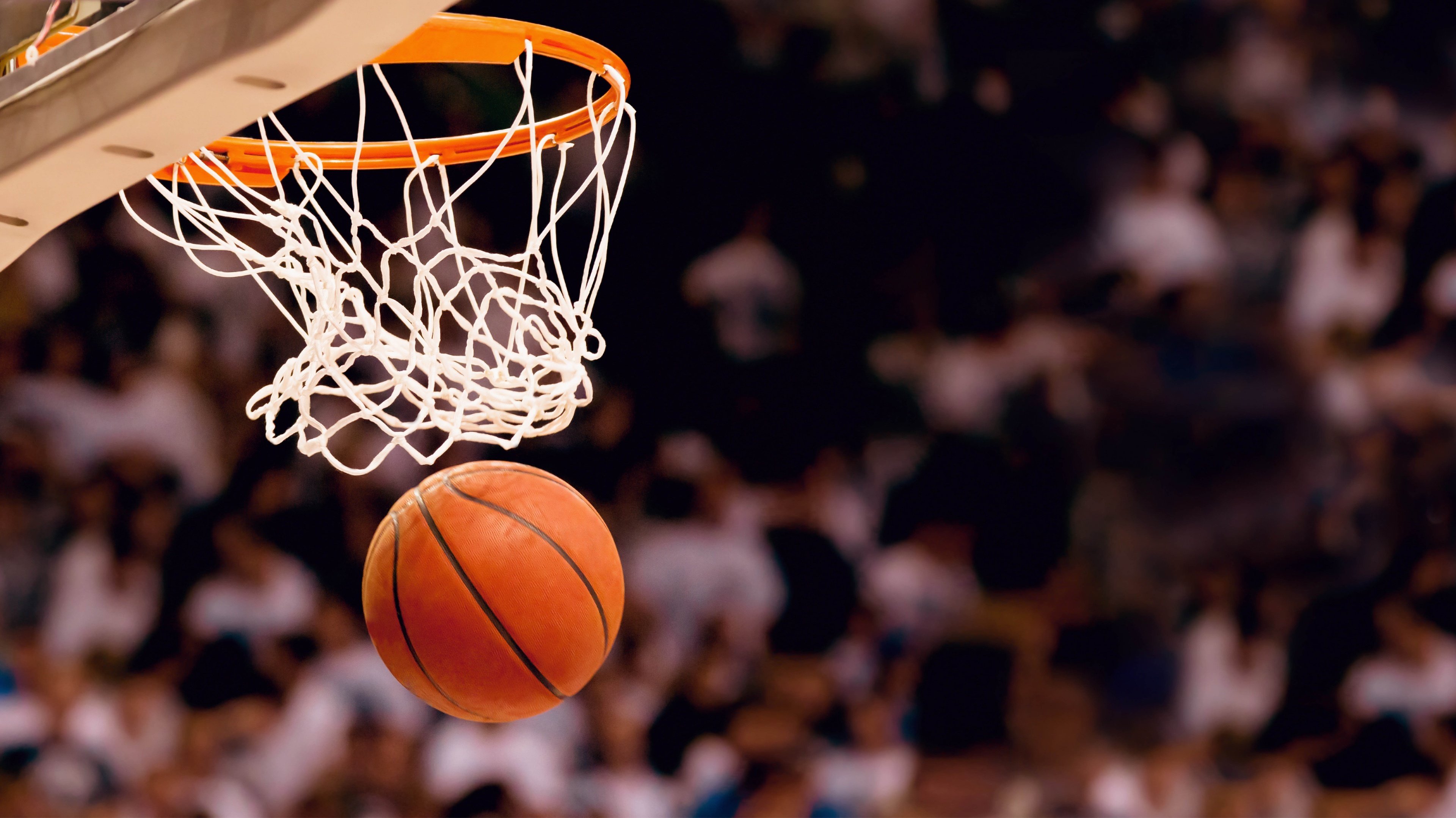 布克化身NBA大结果，意外改写生涯命运|C7体育平台